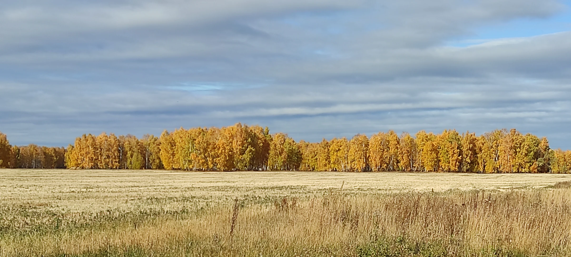 Kazakhstan — the ‘Breadbasket’ of Central Asia and Afghanistan