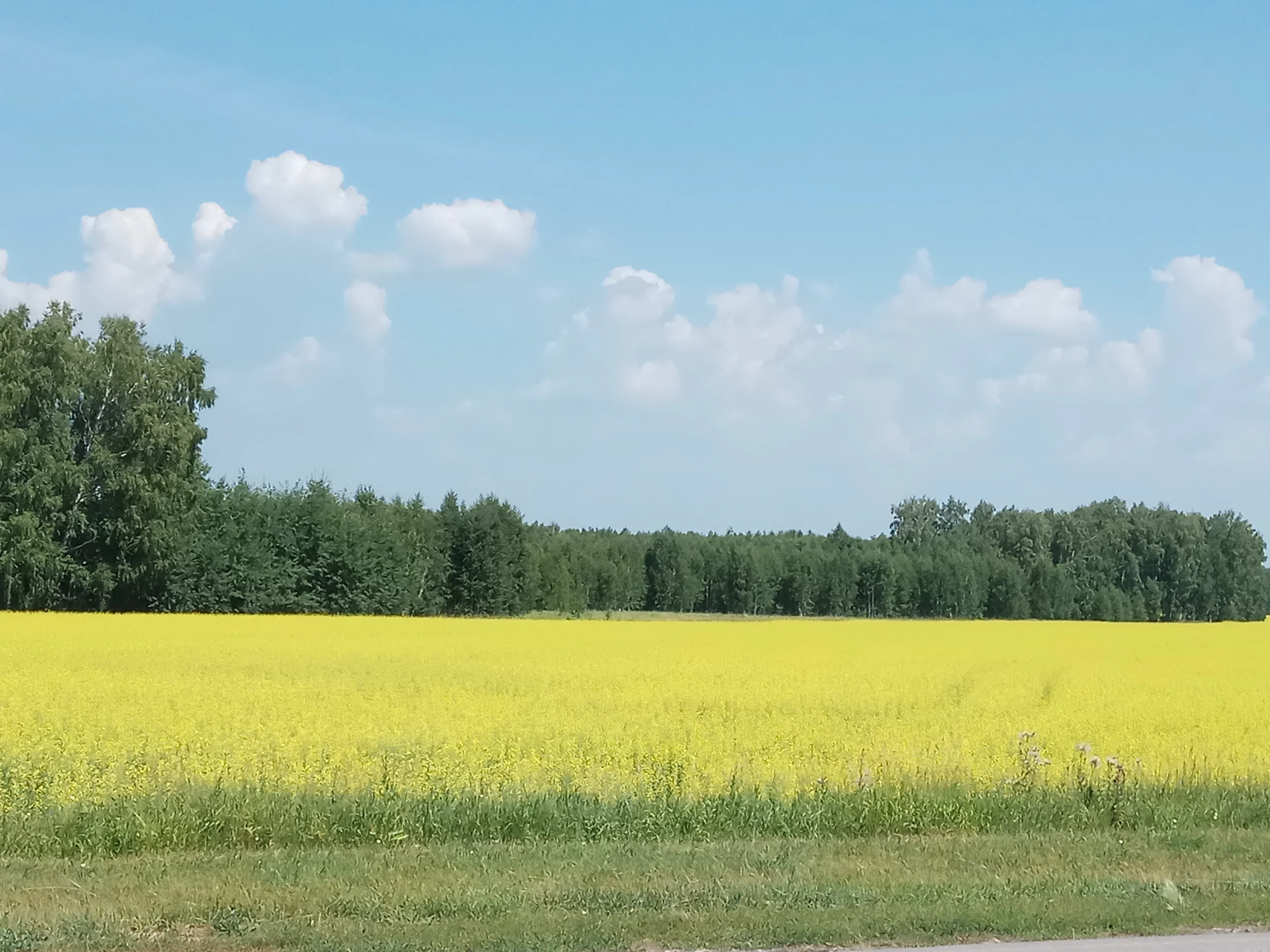 Kazakhstan — the ‘Breadbasket’ of Central Asia and Afghanistan